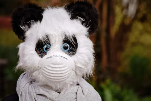 Casino Rich Prize Podrška